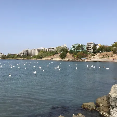 Apartamento Europe Holiday Apartments First Sea Line Coast